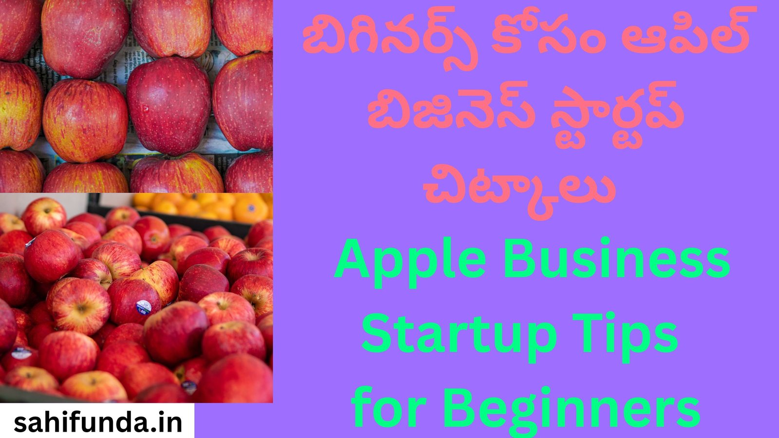 Apple Business Startup Tips for Beginners