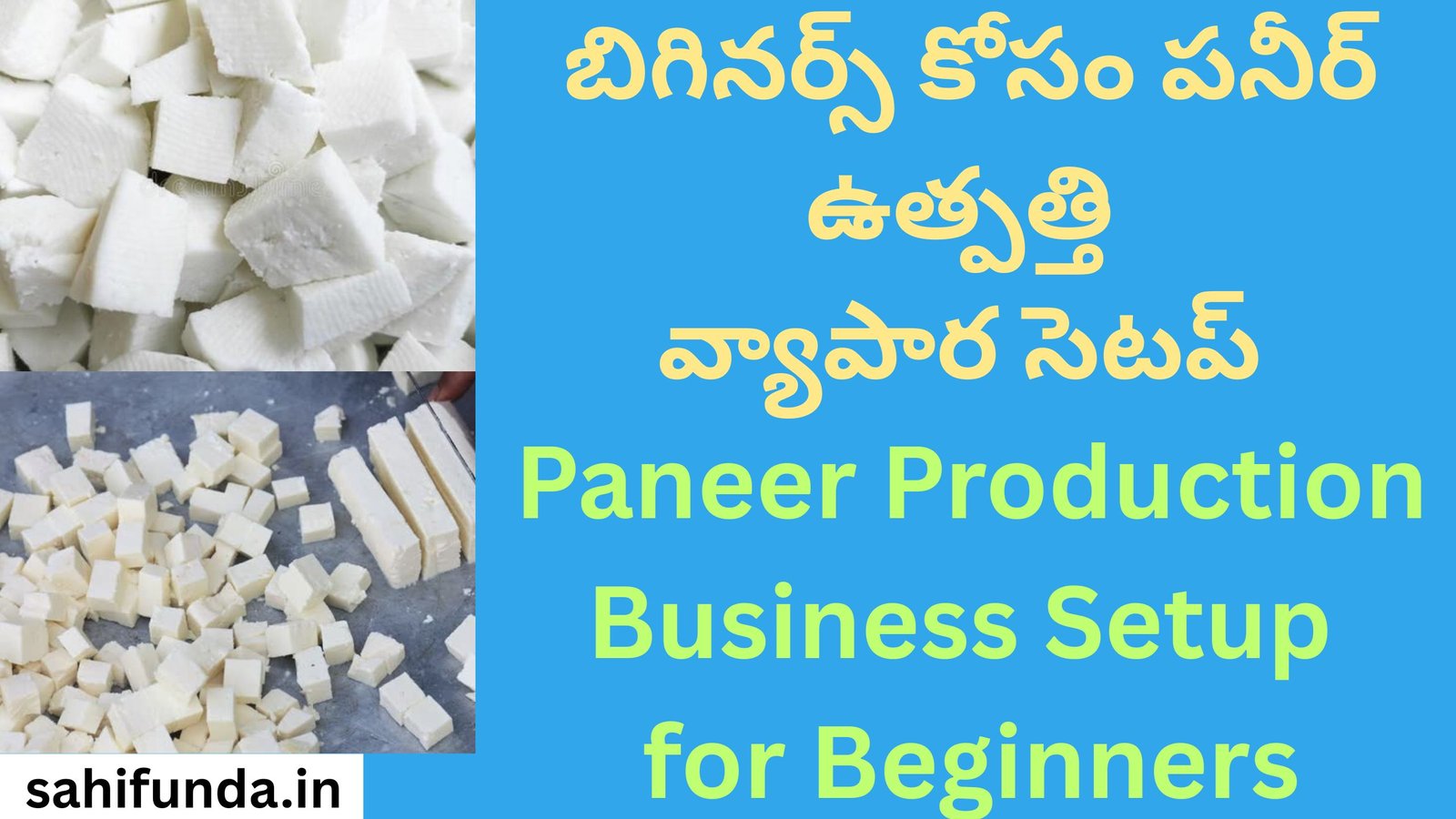 Paneer Production Business Setup for Beginners
