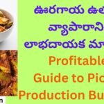 Profitable Guide to Pickle Production Business
