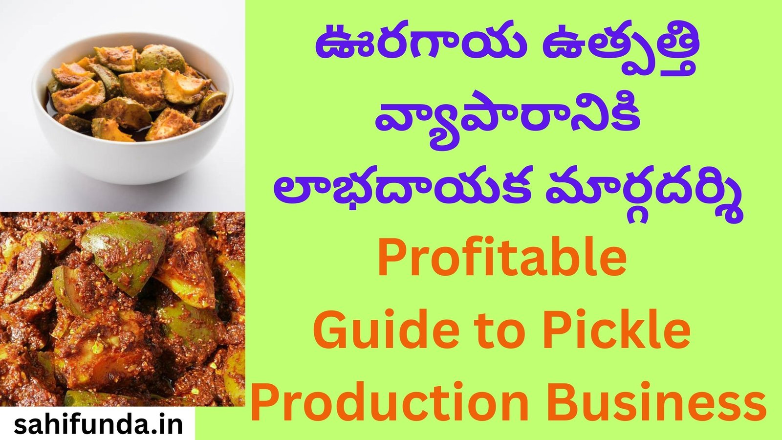 Profitable Guide to Pickle Production Business
