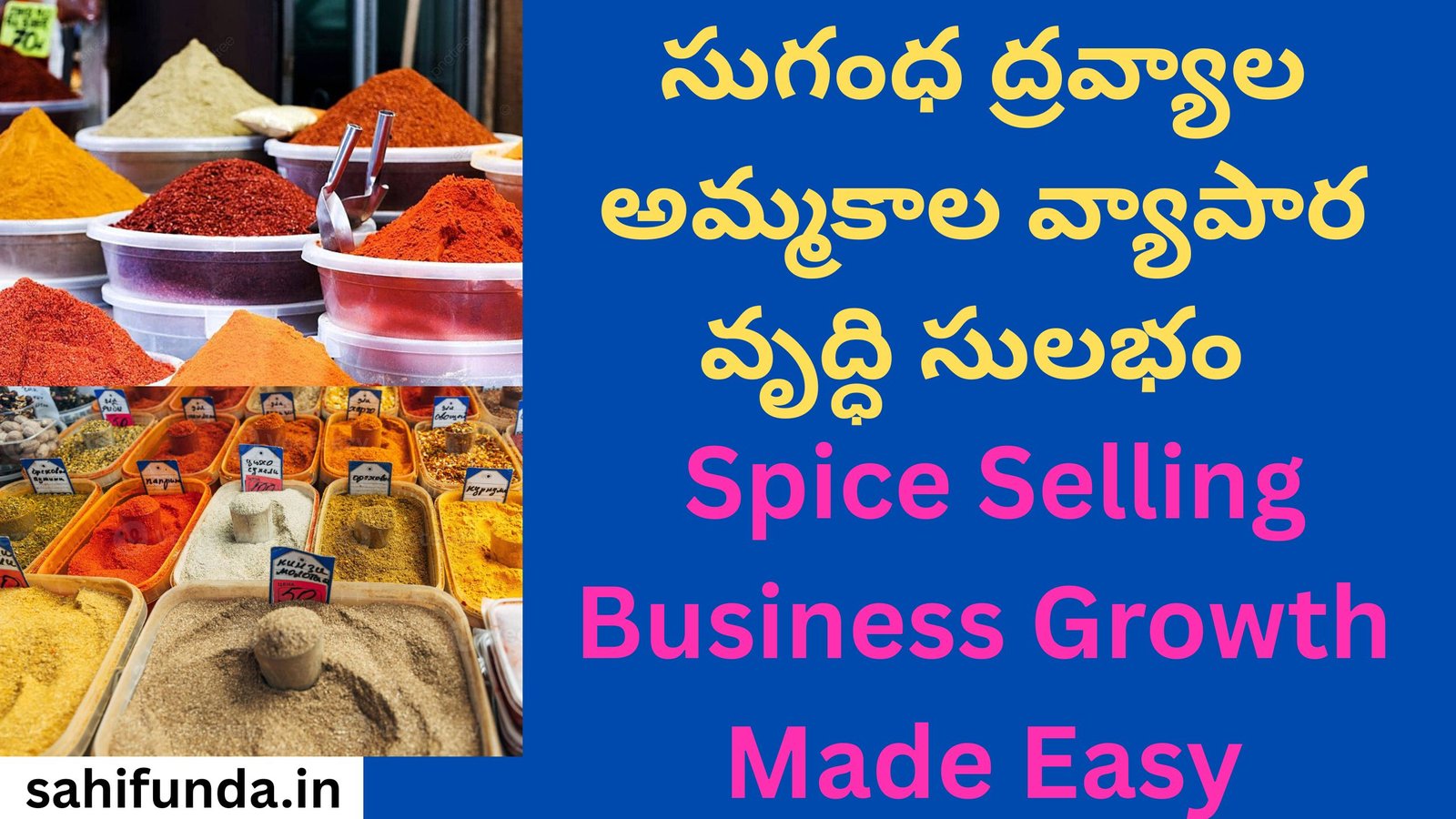 Spice Selling Business Growth Made Easy